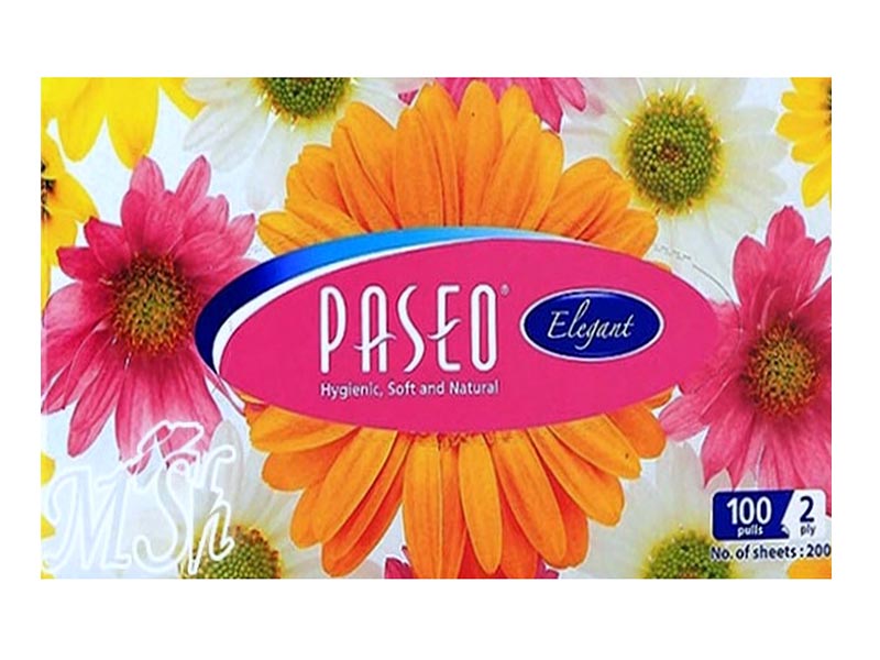 PASEO Elegant: Мягкие, двухслойные салфетки, 100шт/уп